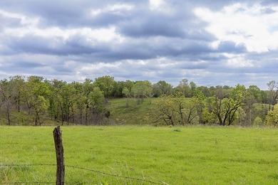 168.62acres in the Ozark Mountains featuring a beautiful mix of - photo 17