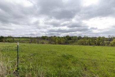 168.62acres in the Ozark Mountains featuring a beautiful mix of - photo 18