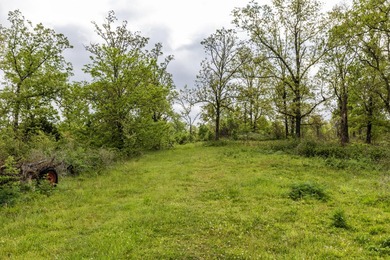 168.62acres in the Ozark Mountains featuring a beautiful mix of - photo 20
