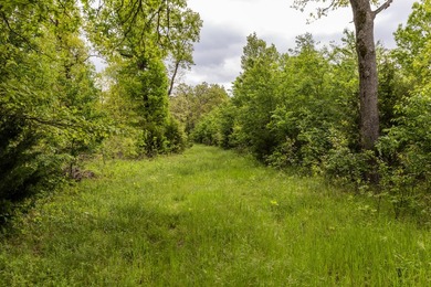 168.62acres in the Ozark Mountains featuring a beautiful mix of - photo 21