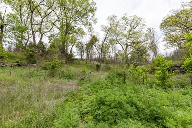 168.62acres in the Ozark Mountains featuring a beautiful mix of - photo 22