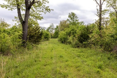 168.62acres in the Ozark Mountains featuring a beautiful mix of - photo 23