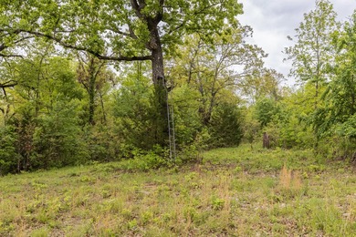 168.62acres in the Ozark Mountains featuring a beautiful mix of - photo 24
