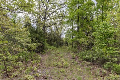 168.62acres in the Ozark Mountains featuring a beautiful mix of - photo 25