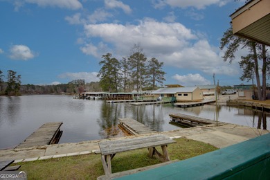 Rare opportunity to purchase a successful Marina on Jackson Lake - photo 26