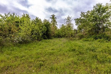 168.62acres in the Ozark Mountains featuring a beautiful mix of - photo 26