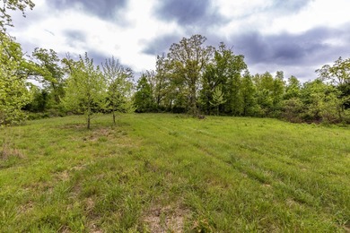 168.62acres in the Ozark Mountains featuring a beautiful mix of - photo 27