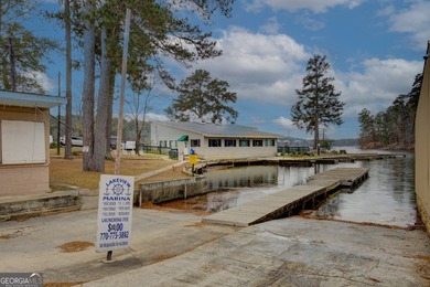 Rare opportunity to purchase a successful Marina on Jackson Lake - photo 28
