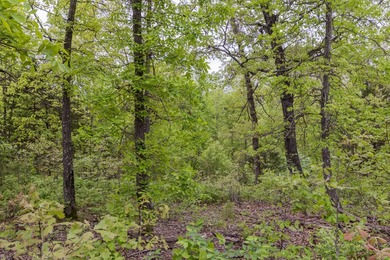 168.62acres in the Ozark Mountains featuring a beautiful mix of - photo 28