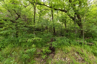 168.62acres in the Ozark Mountains featuring a beautiful mix of - photo 29