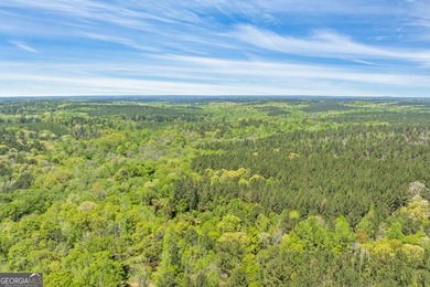(private lake, pond, coastal) Acreage For Sale in Lagrange Georgia