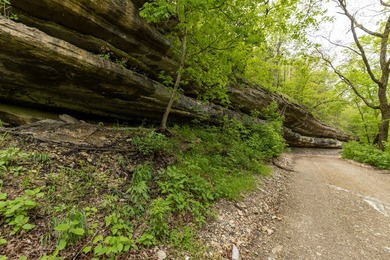 168.62acres in the Ozark Mountains featuring a beautiful mix of - photo 31
