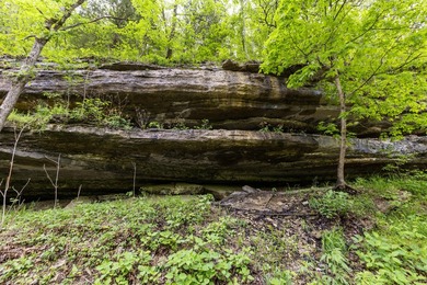 168.62acres in the Ozark Mountains featuring a beautiful mix of - photo 32