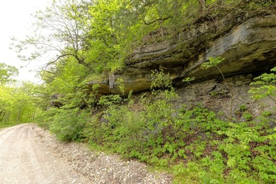 168.62acres in the Ozark Mountains featuring a beautiful mix of - photo 33
