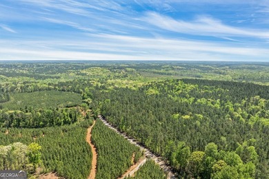 Discover the perfect blend of seclusion, natural beauty and - photo 4