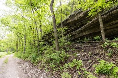 168.62acres in the Ozark Mountains featuring a beautiful mix of - photo 34