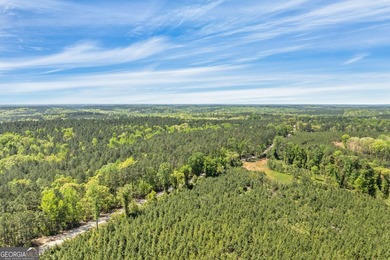 Discover the perfect blend of seclusion, natural beauty and - photo 5