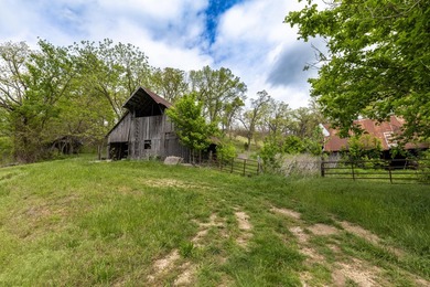 168.62acres in the Ozark Mountains featuring a beautiful mix of - photo 35