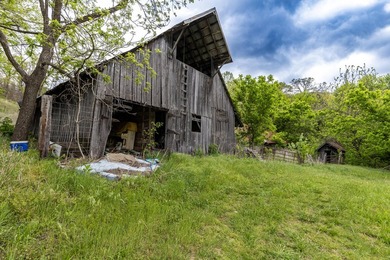 168.62acres in the Ozark Mountains featuring a beautiful mix of - photo 36