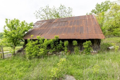 168.62acres in the Ozark Mountains featuring a beautiful mix of - photo 37