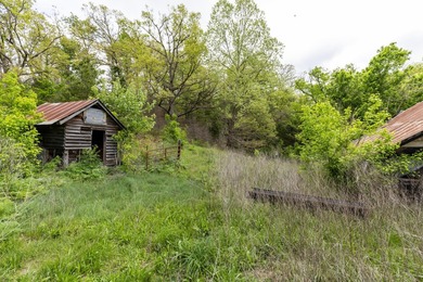 168.62acres in the Ozark Mountains featuring a beautiful mix of - photo 38