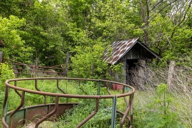 168.62acres in the Ozark Mountains featuring a beautiful mix of - photo 39