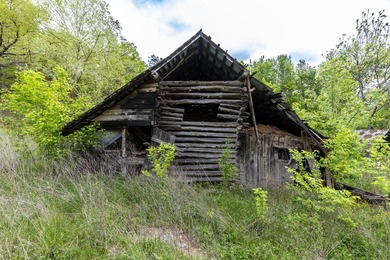 168.62acres in the Ozark Mountains featuring a beautiful mix of - photo 41