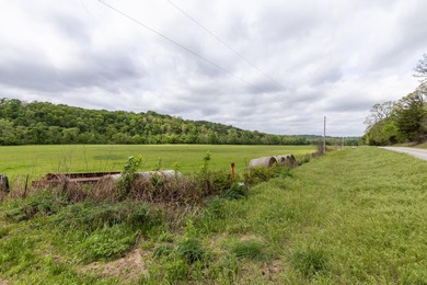 168.62acres in the Ozark Mountains featuring a beautiful mix of - photo 44