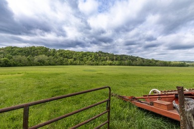 168.62acres in the Ozark Mountains featuring a beautiful mix of - photo 45