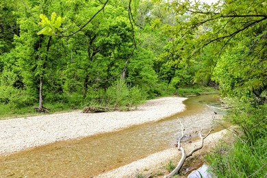 168.62acres in the Ozark Mountains featuring a beautiful mix of - photo 46