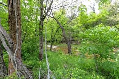 168.62acres in the Ozark Mountains featuring a beautiful mix of - photo 47