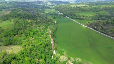 168.62acres in the Ozark Mountains featuring a beautiful mix of - photo 48