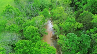 168.62acres in the Ozark Mountains featuring a beautiful mix of - photo 49