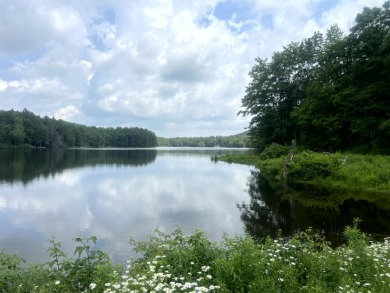 Lakefront Privacy on Beaver Meadow Lake - photo 1