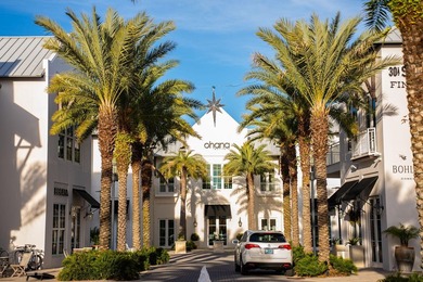 Tucked within the Twin Palms enclave of Inlet Beach, 34 Majestic - photo 50