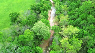 168.62acres in the Ozark Mountains featuring a beautiful mix of - photo 50