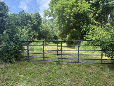 This premium 85-acre recreational property offers the ultimate - photo 3