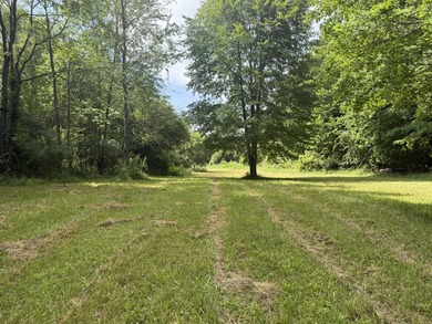 This premium 85-acre recreational property offers the ultimate - photo 4