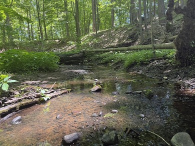 This premium 85-acre recreational property offers the ultimate - photo 6