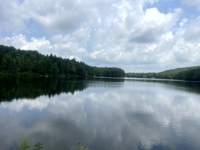 Lakefront Privacy on Beaver Meadow Lake - photo 13