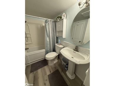 Nicely updated 1 bedroom + loft with LAKE ACCESS! Remodeled - photo 5
