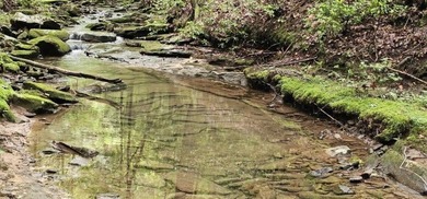 Picture perfect land on the creek. This lot consists of 3 - photo 15