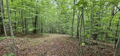 Picture perfect land on the creek. This lot consists of 3 - photo 22