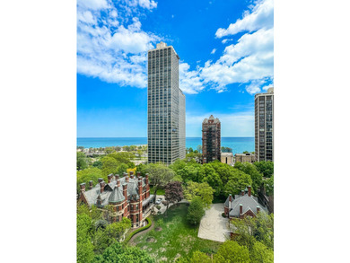 One of Chicago's finest cooperative residences, this - photo 35