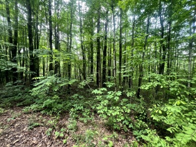 Lakefront Privacy on Beaver Meadow Lake - photo 21