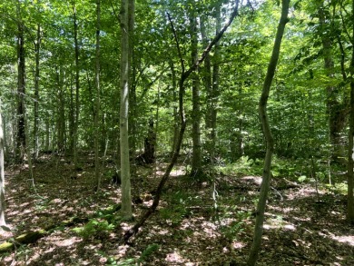 Lakefront Privacy on Beaver Meadow Lake - photo 3