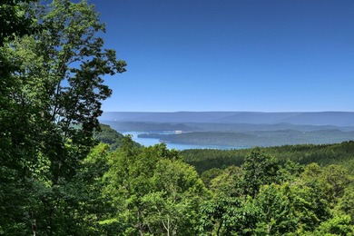Exceptional opportunity to build your dream home on 5.12 acres - photo 1
