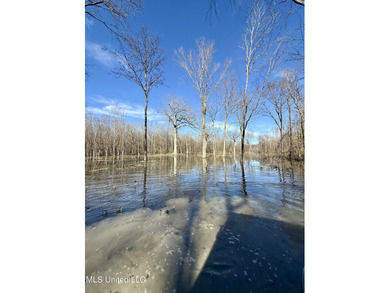 (private lake, pond, coastal) Acreage Sale Pending in Silver City Mississippi