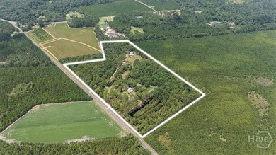 (private lake, pond, creek) Home For Sale in Pembroke Georgia