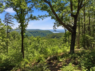 Exceptional opportunity to build your dream home on 5.12 acres - photo 2